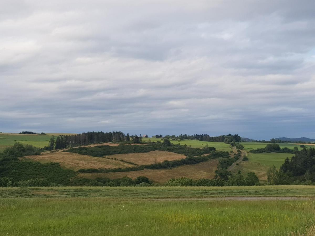 Ferienwohnung Parkblick Medebach Eksteriør bilde